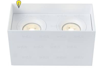 Потолочный светильник Technical C015CL-02W