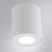 Потолочный светильник Arte Lamp Tino A1469PL-1WH