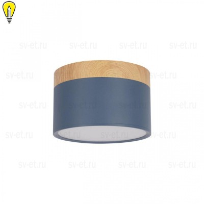 Накладной светодиодный светильник Loft IT Grape 10162 Blue