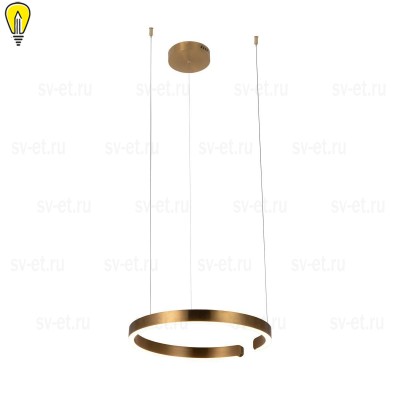 Подвесной светодиодный светильник Loft IT Ring 10013M