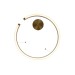 Подвесной светодиодный светильник Loft IT Ring 10013M