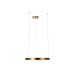 Подвесной светодиодный светильник Loft IT Ring 10013M
