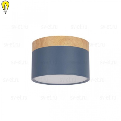Накладной светодиодный светильник Loft IT Grape 10162 Blue