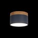 Накладной светодиодный светильник Loft IT Grape 10162 Blue