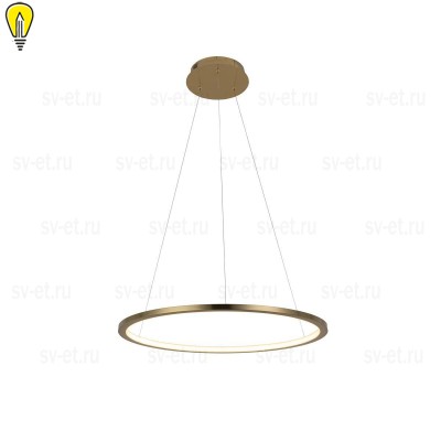 Подвесной светодиодный светильник Loft IT Ring 10014M