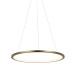 Подвесной светодиодный светильник Loft IT Ring 10014M