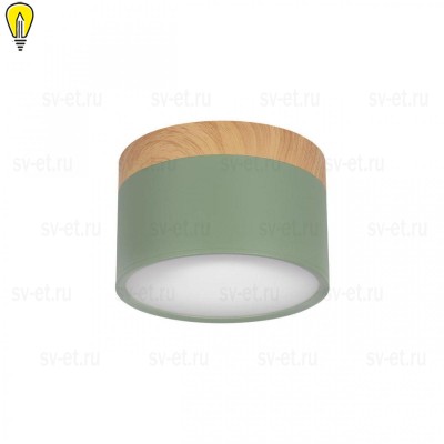 Накладной светодиодный светильник Loft IT Grape 10162 Green