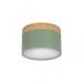 Накладной светодиодный светильник Loft IT Grape 10162 Green
