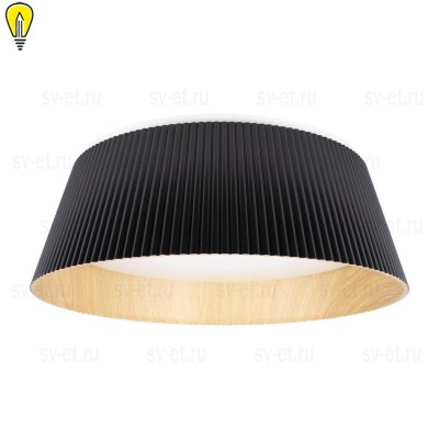 Потолочный светодиодный светильник Loft IT Evans 10224 Black