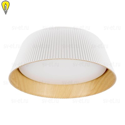 Потолочный светодиодный светильник Loft IT Evans 10224 White