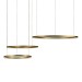Подвесной светодиодный светильник Loft IT Ring 10017/3L