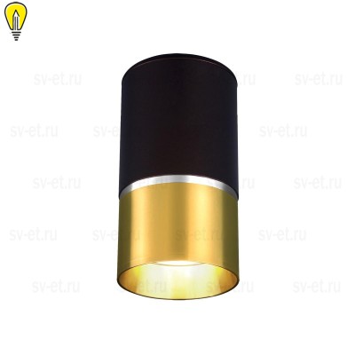 Потолочный светильник Elektrostandard DLN106 GU10 золото a047729