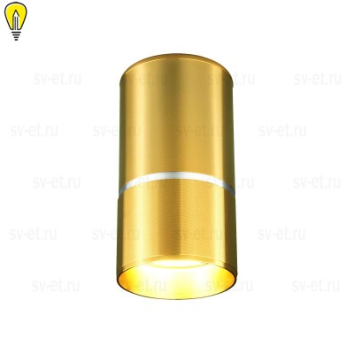 Потолочный светильник Elektrostandard DLN106 GU10 золото a047732