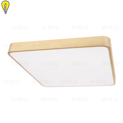 Потолочный светодиодный светильник Loft IT Flims 10228/D