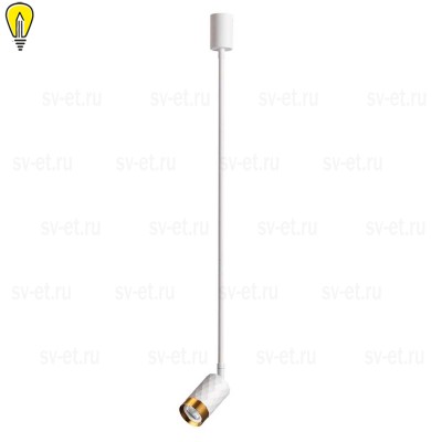 Подвесной светильник Odeon Light Ad Astrum 4350/1C