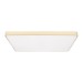 Потолочный светодиодный светильник Loft IT Flims 10228/E