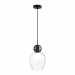 Подвесной светильник Odeon Light Blacky 5023/1