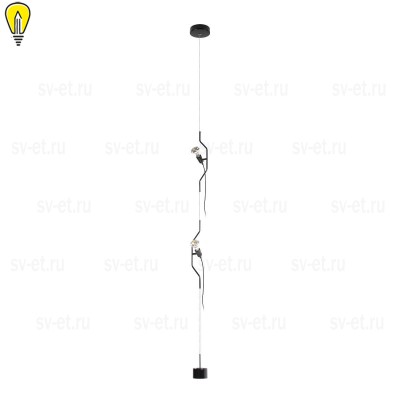 Подвесной светильник Loft IT Parentesi 10346/2 Black