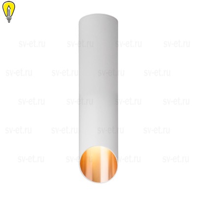 Потолочный светильник Elektrostandard DLN115 GU10 белый/золото a050121