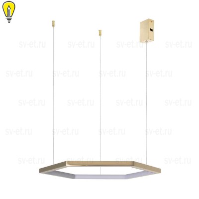 Подвесной светодиодный светильник Loft IT Ring 10016S