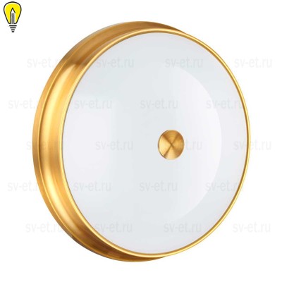 Настенно-потолочный светильник Odeon Light Walli Marsei 4824/4C
