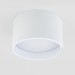 Потолочный светодиодный светильник Elektrostandard 25123/Led Banti 13Вт 4200K a058846