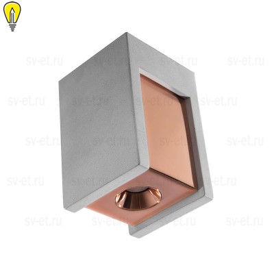 Потолочный светодиодный светильник Loft IT Architect OL1073-GG