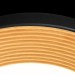 Потолочный светильник Loft IT Folk 10255/500 Black