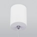 Подвесной светодиодный светильник Elektrostandard DLS028 6W 4200K белый a047769