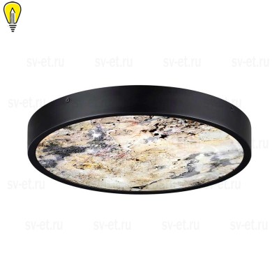 Настенно-потолочный светильник Odeon Light BERGI 5064/24L