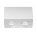 Потолочный светильник Technical C017CL-02W