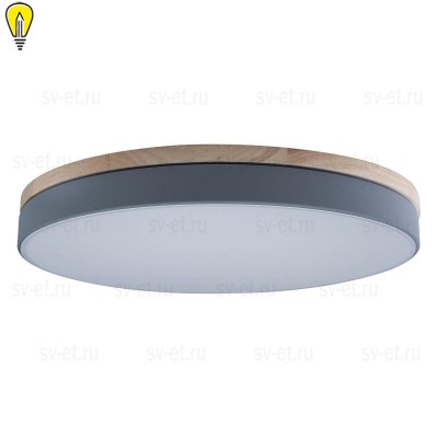 Потолочный светодиодный светильник Loft IT Axel 10001/36 grey