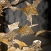 Инсталляция дизайнерская световая на тросах Falling leaf