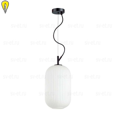 Подвесной светильник Odeon Light Pendant Roofi 4751/1