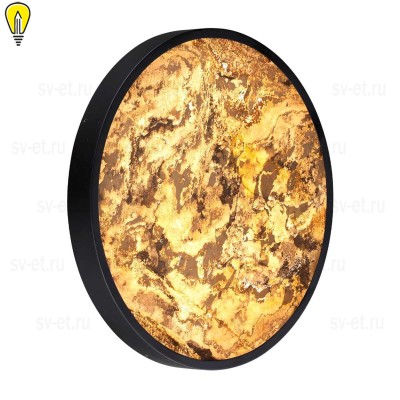 Настенно-потолочный светильник Odeon Light BERGI 5064/40L