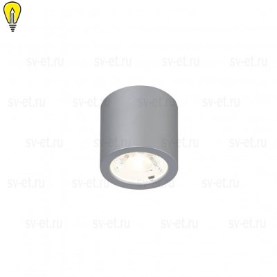 Потолочный светодиодный светильник Favourite Deorsum 2808-1C