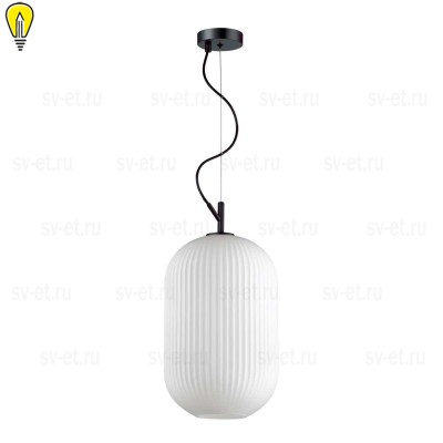 Подвесной светильник Odeon Light Pendant Roofi 4752/1