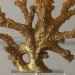 Настольная лампа Coral Gold