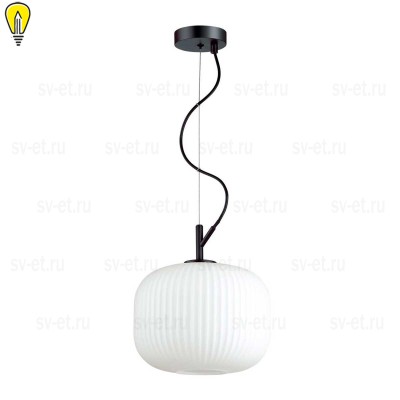 Подвесной светильник Odeon Light Pendant Roofi 4753/1