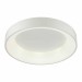 Потолочный светодиодный светильник Odeon Light L-vision Sole 4062/50CL