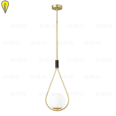 Подвесной светильник Odeon Light Pendant Flari 4810/1