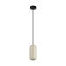 Подвесной светильник Odeon Light COCOON 5060/1G