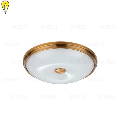Потолочный светильник Odeon Light Walli Pelow 4956/4