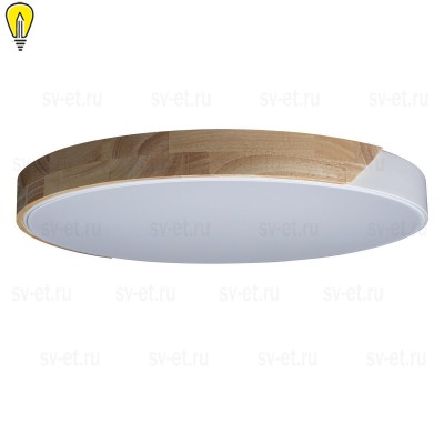 Потолочный светодиодный светильник Loft IT Axel 10004/36 white