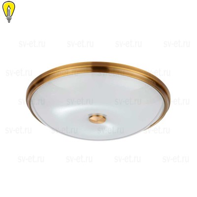 Потолочный светильник Odeon Light Walli Pelow 4956/5