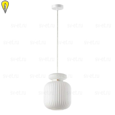 Подвесной светильник Odeon Light JUGI 5042/1C