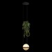 Подвесной светодиодный светильник Loft IT Jardin 10121/1P Dark grey
