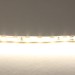 Светодиодная лента Lightstar 12W/m 120LED/m дневной белый 5M 420504