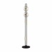 Торшер Odeon Light Exclusive Modern Magnet 5407/23FL