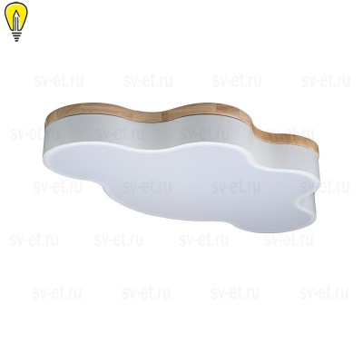 Потолочный светодиодный светильник Loft IT Axel 10005/36 white
